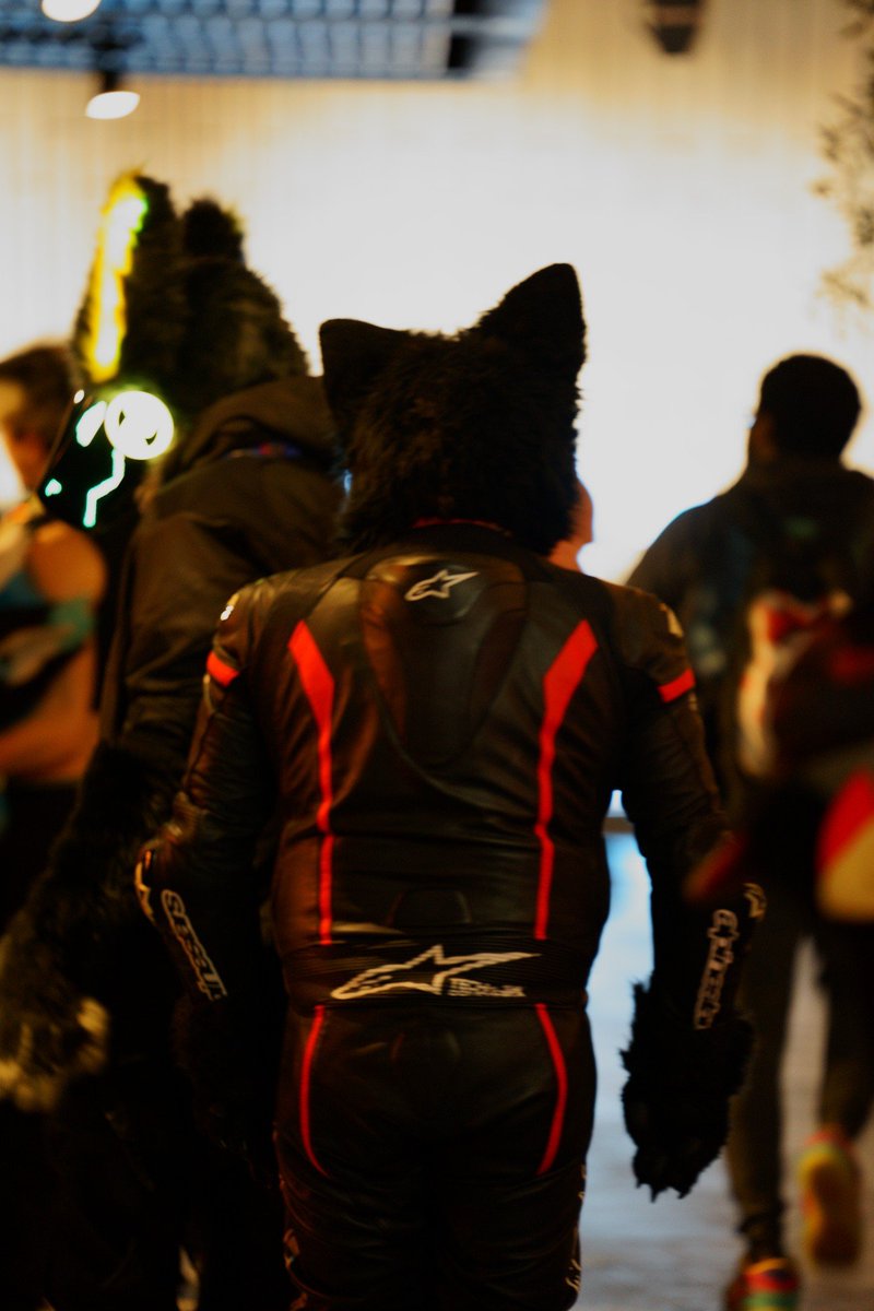 Dumb Dog Mastix tweet media