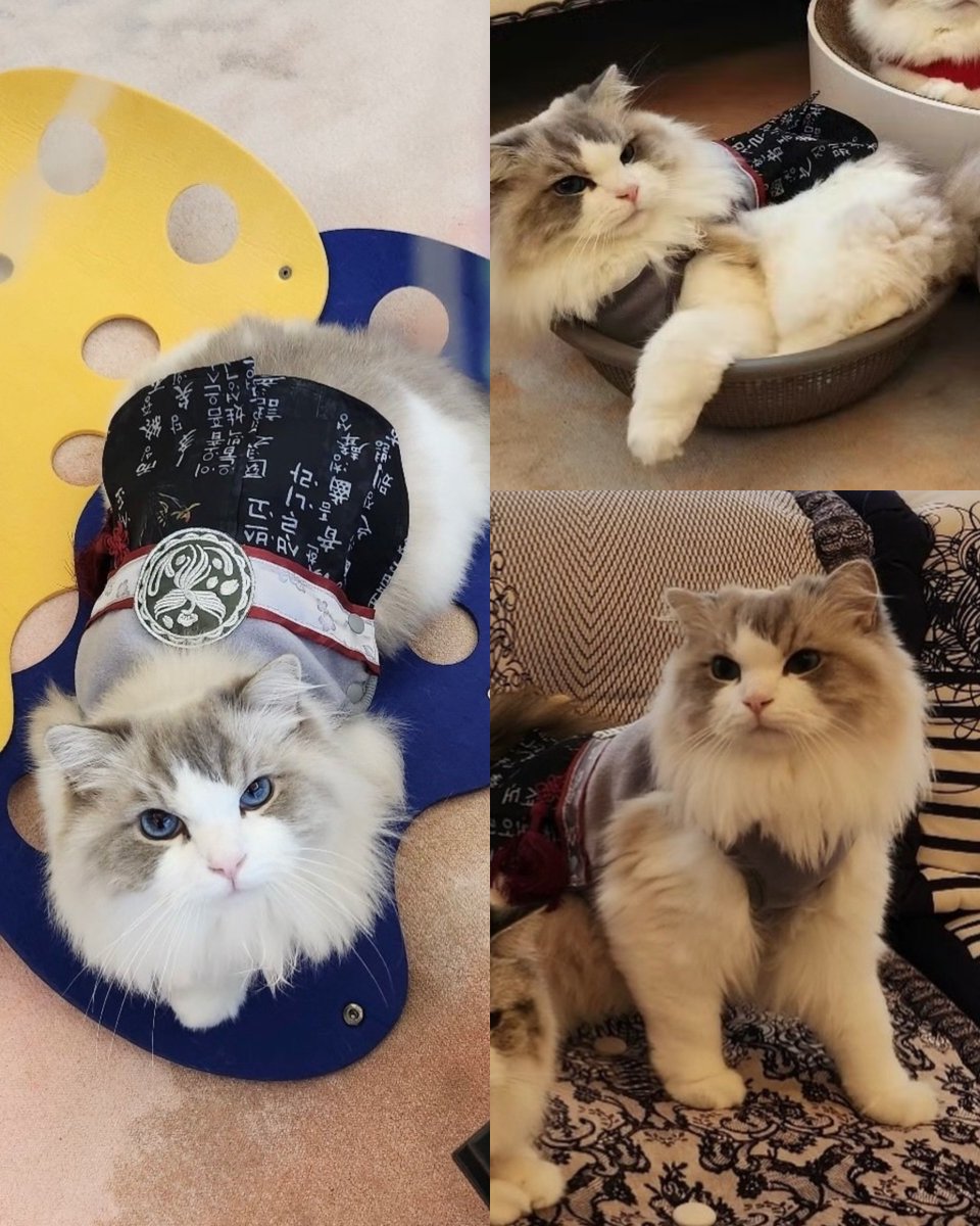 เมะที่หล่อที่สุดในตระกูลนา สูงยาวหุ่นดี ตาฟ้า เมะติดแอค เมะเดียวดาย😼