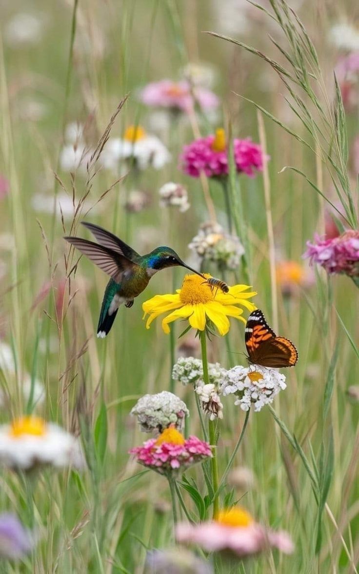 Ramblings tweet media