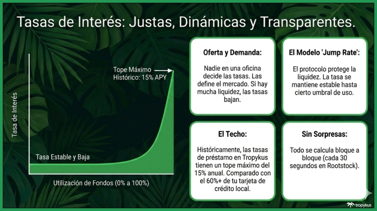 Tropykus 🌴🍹 tweet media