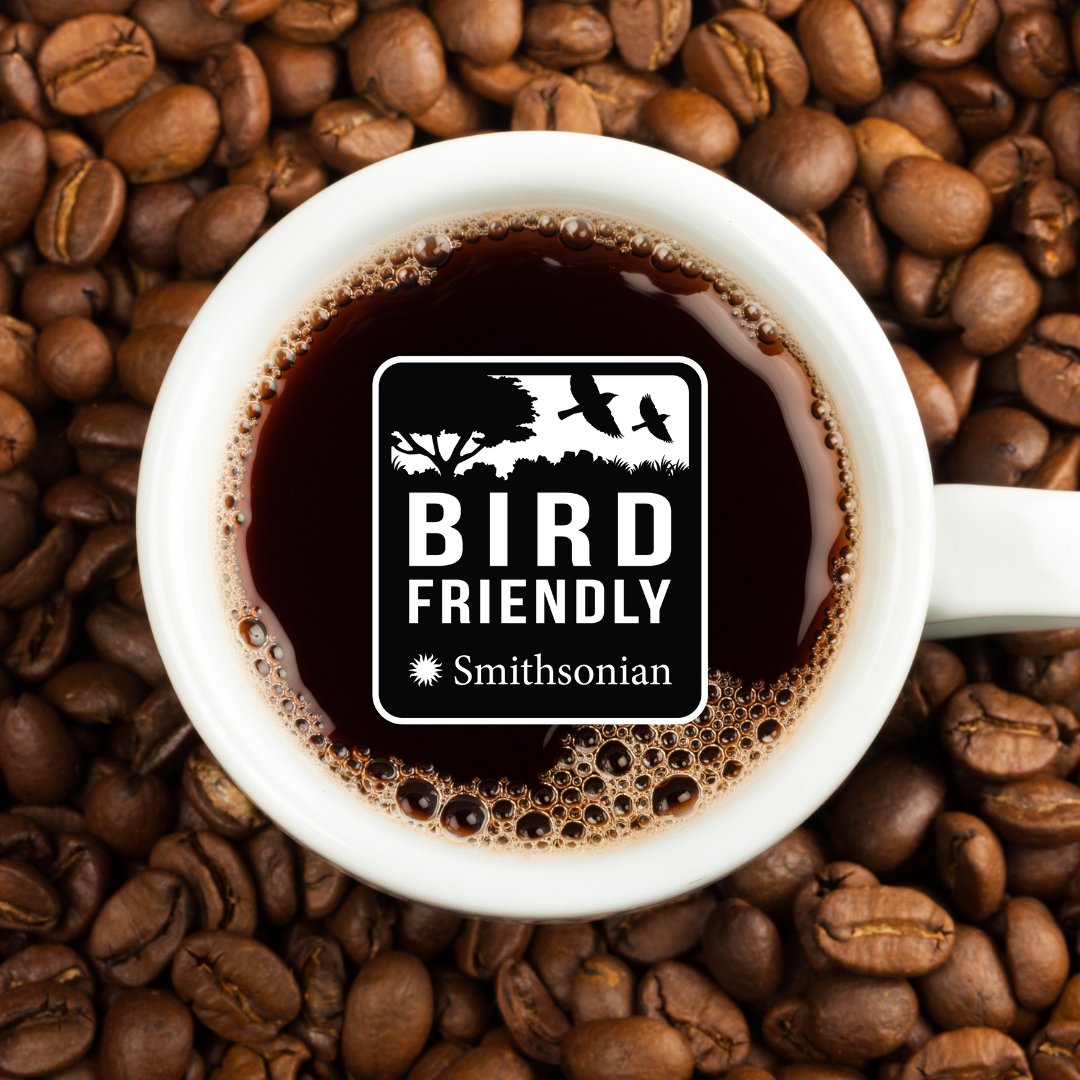 Smithsonian Migratory Bird Center tweet media