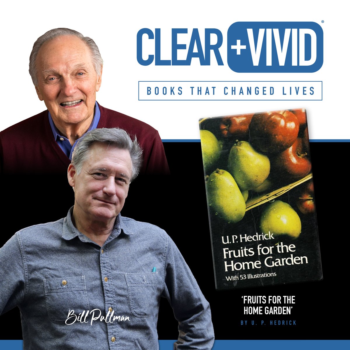 Clear+Vivid tweet media