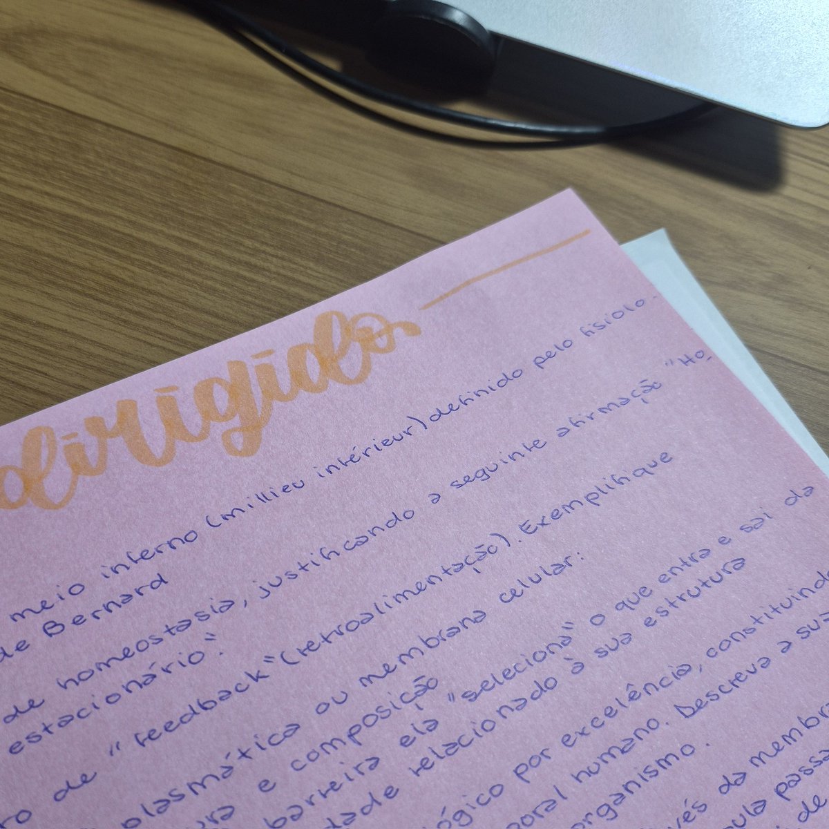 já tava achando q nn sabia escrever mais