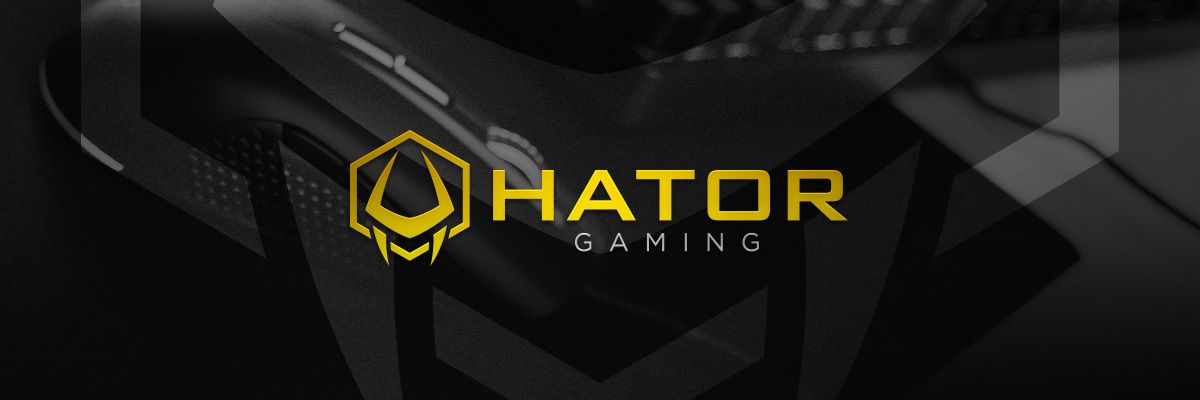 GameGuideFR tweet media