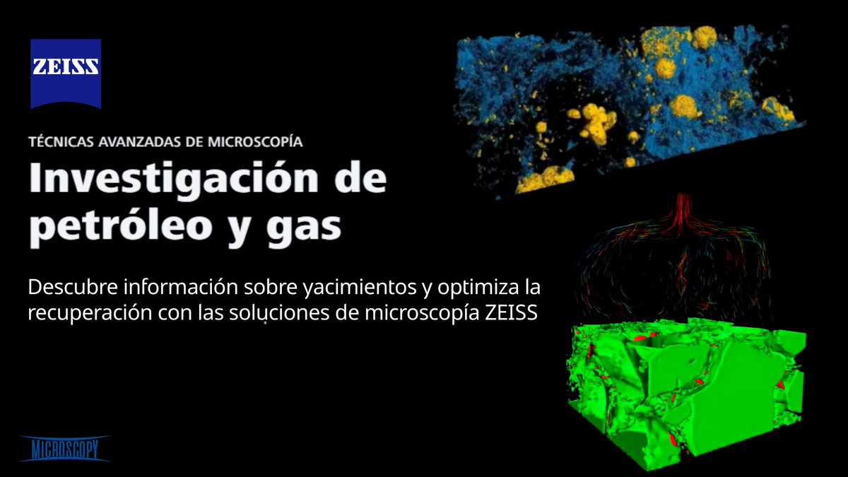 Microscopy SA 🔬🇦🇷 tweet media