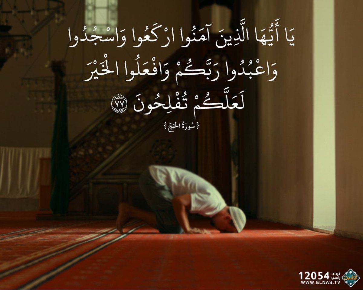 badrbinhimd's tweet photo. اية جامعة لما هو مطلوب https://t.co/rfjjyhQfBE