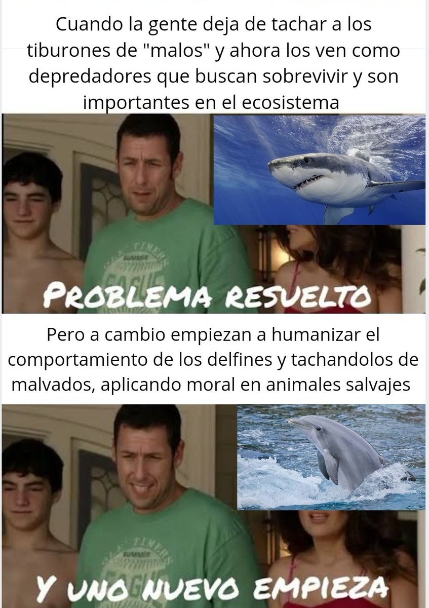 Una hormiga que mira tu post 🐜 tweet media