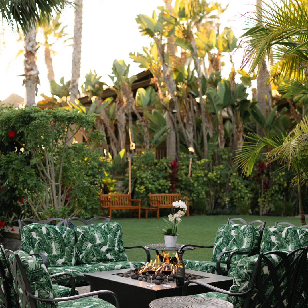 Humphreys Half Moon tweet media