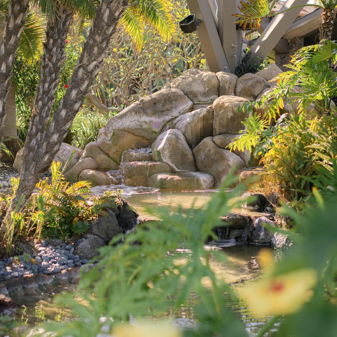 Humphreys Half Moon tweet media