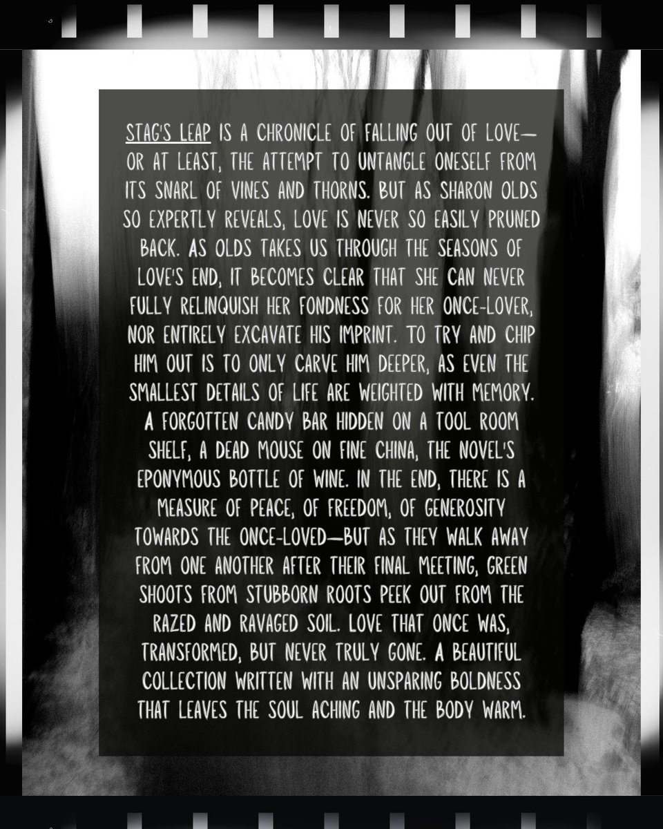 F(r)iction tweet media