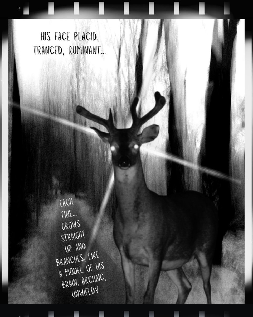 F(r)iction tweet media