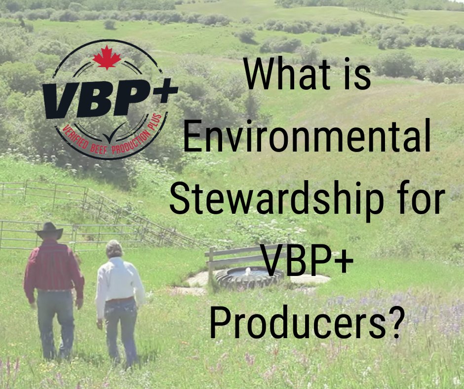 VBP+ Canada tweet media