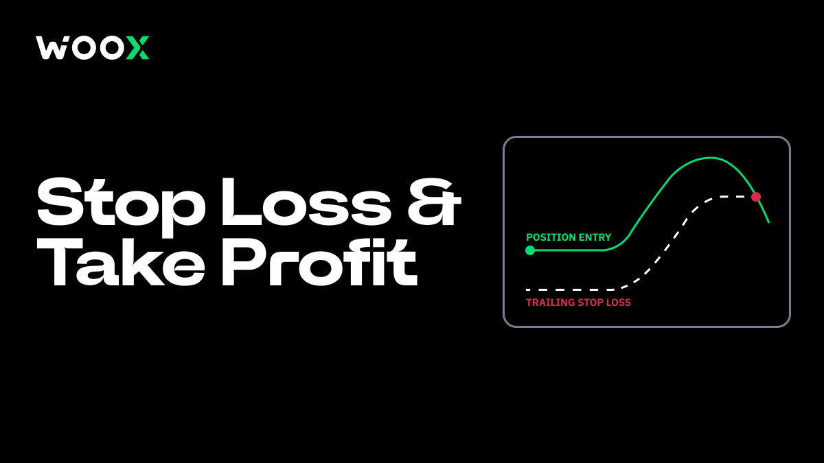 _WOO_X's tweet image. Volatility creates opportunity!🐋

Trade on @_WOO_X  with deep liquidity &amp;amp; zero slippage.

#WOOX #CryptoVolatility #TradeSmart