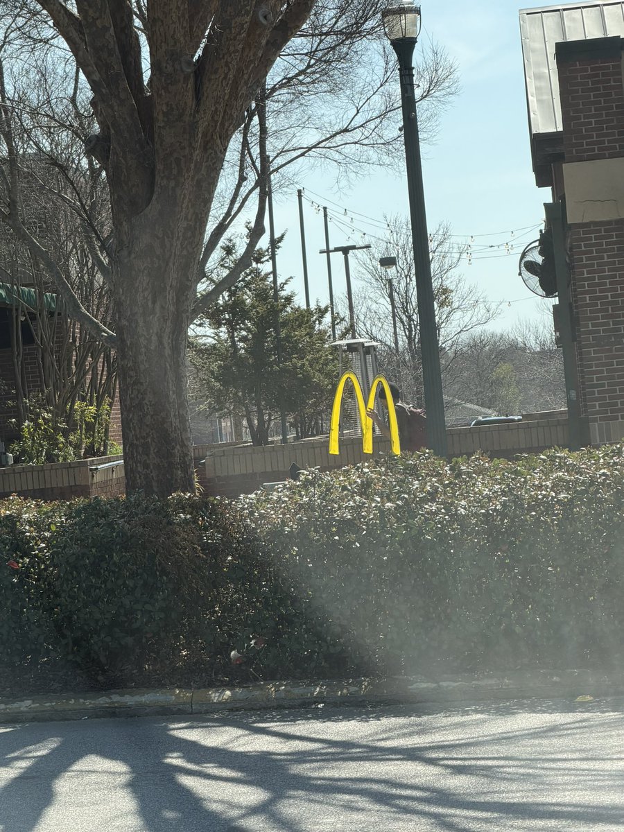 Dorman Finkle tweet media