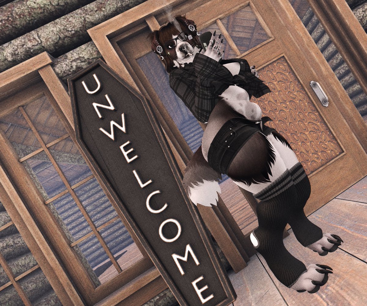 🦴Dum8D0g🦴 tweet media