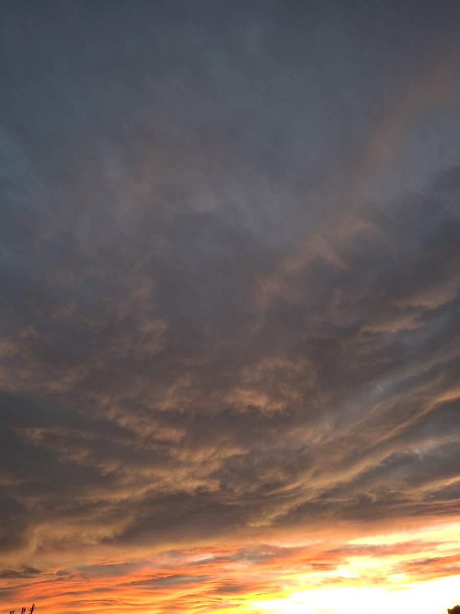 Aurora Palacios tweet media