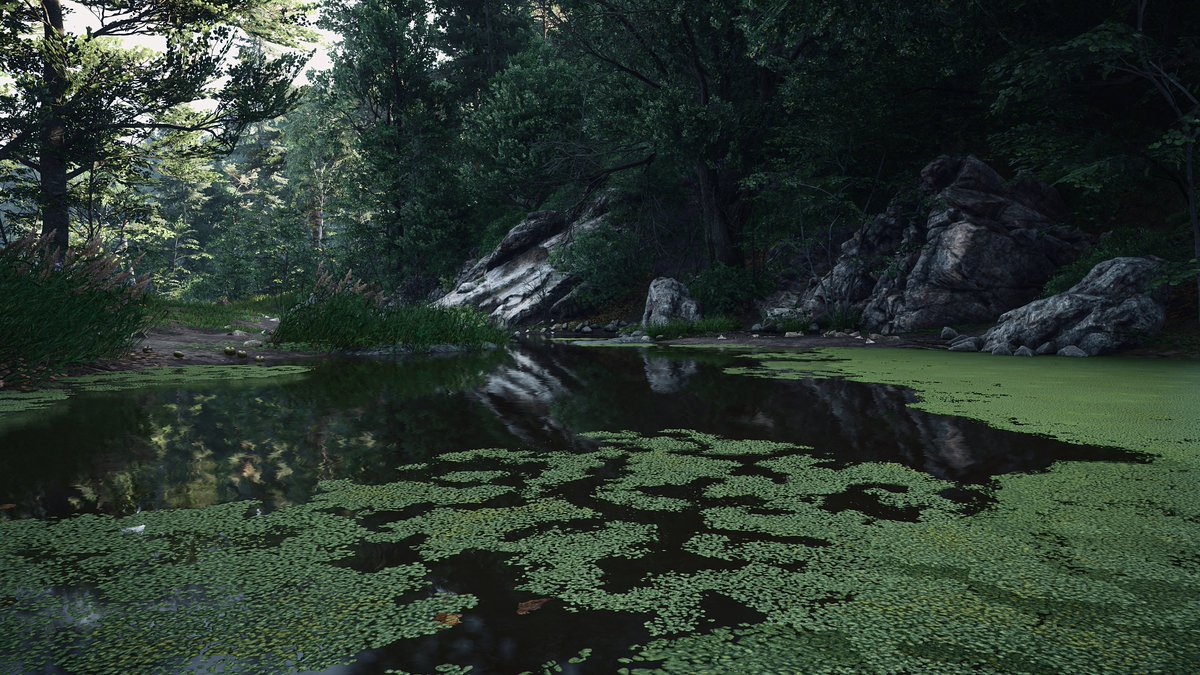 Albert_VP tweet media