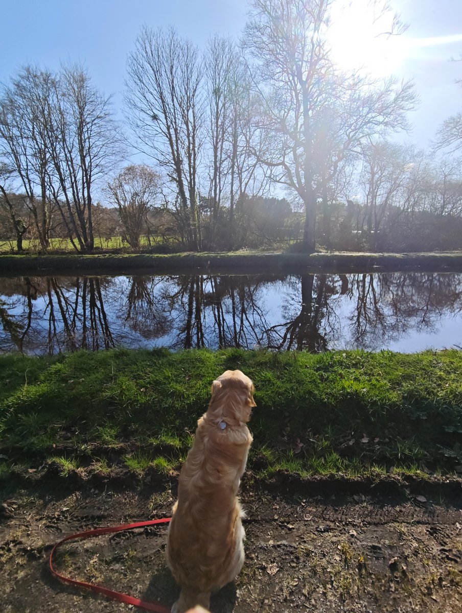 Fanny Chassain-Pichon tweet media