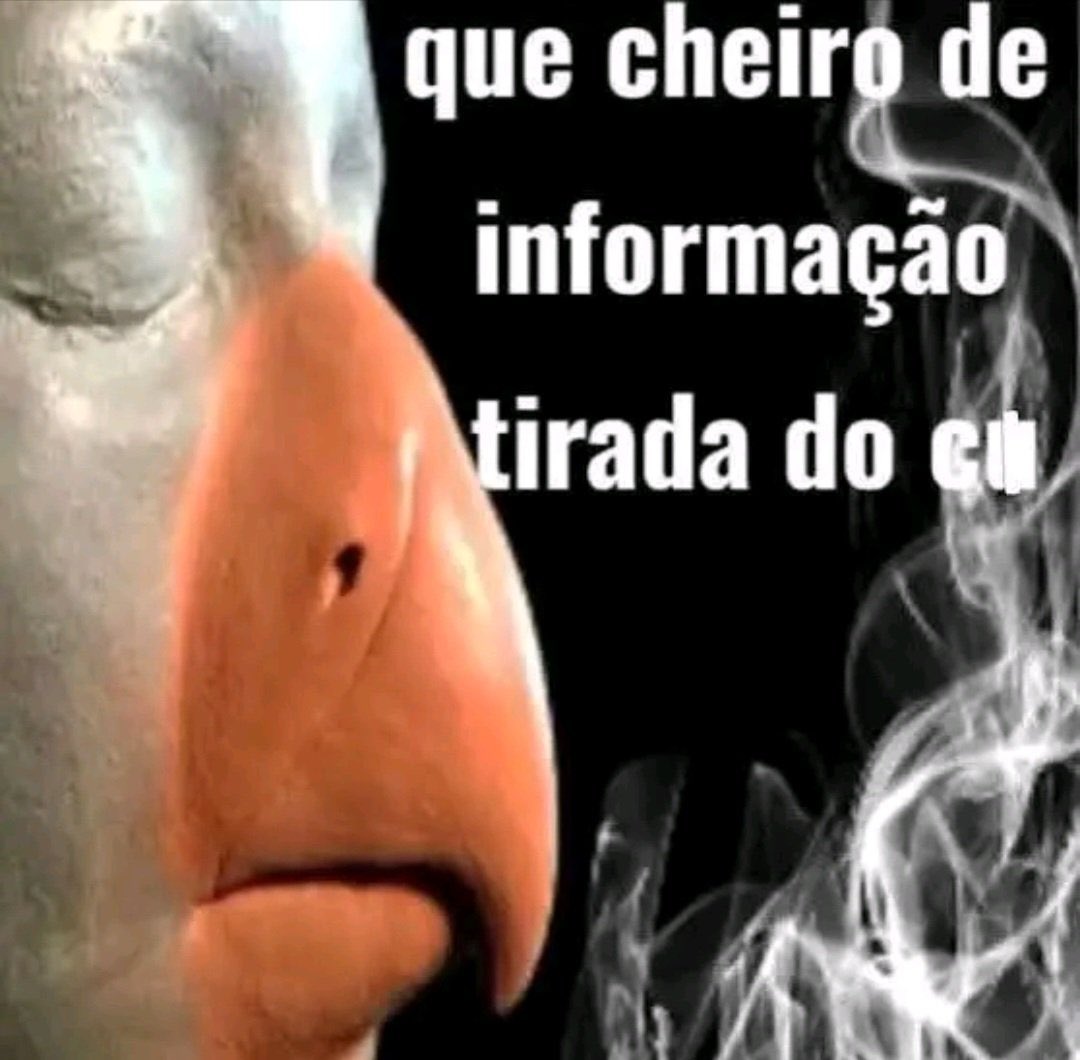 Ochrismc's tweet photo. @Lc_Queirozz https://t.co/fx29H8fFsL