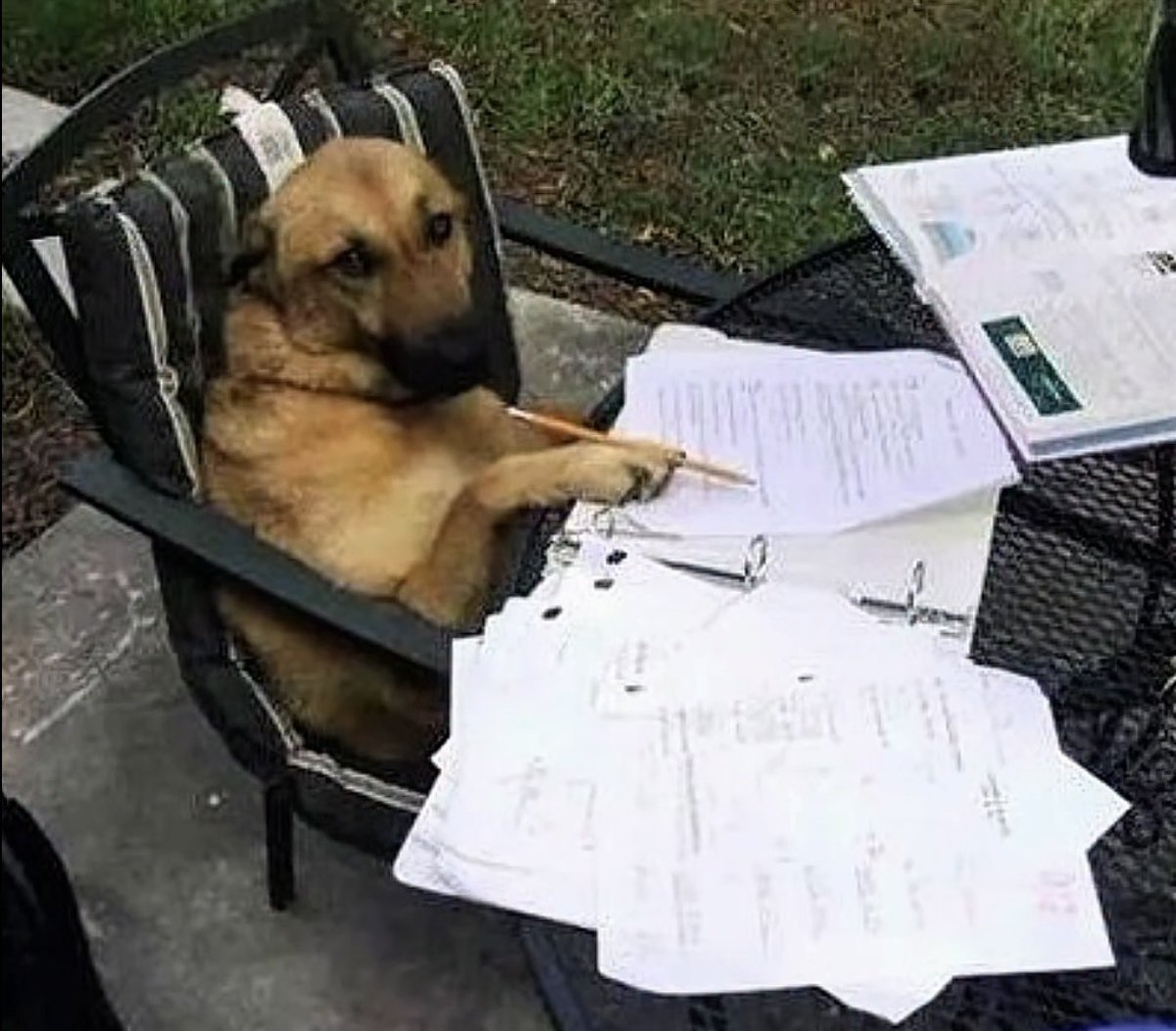 Quando você tá lendo e percebe que esqueceu de entender e vai ter que começar tudo de novo