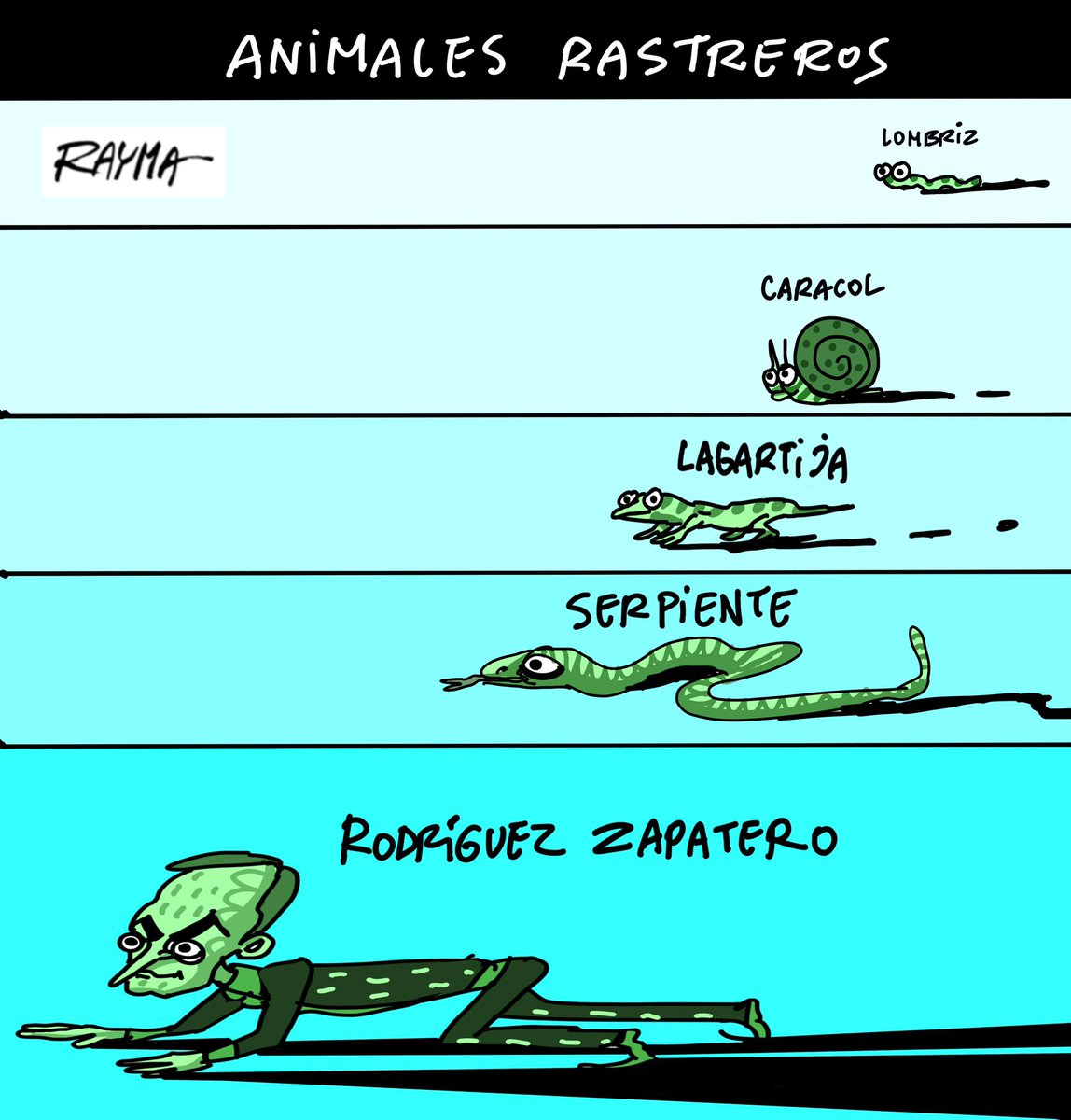 Según las últimas actualizaciones de las categorías de Darwin 2026!