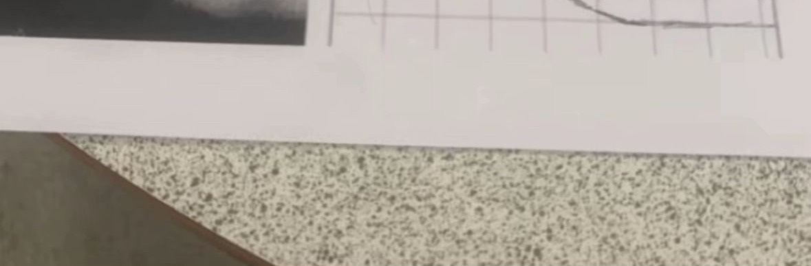 xgli_'s tweet photo. My second year in art school