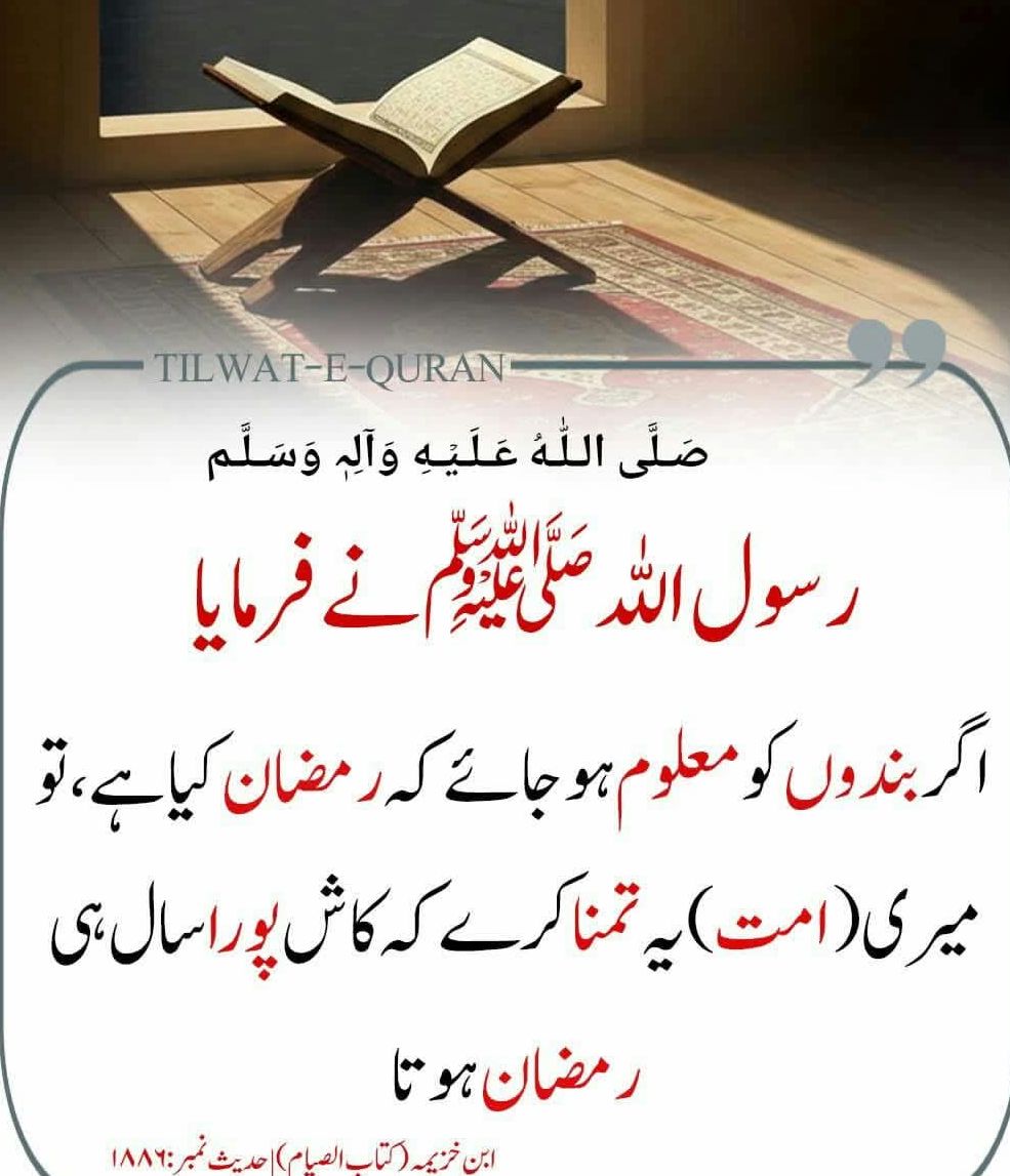 Mahwish Zafar tweet media