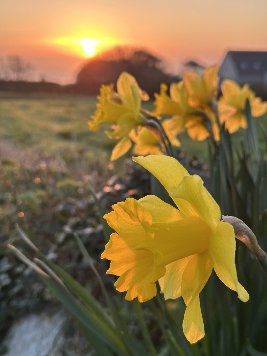 gnsymutterings tweet media