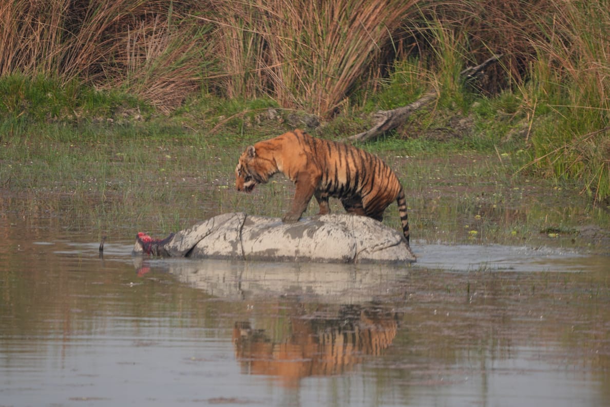 Prashant pandey tweet media