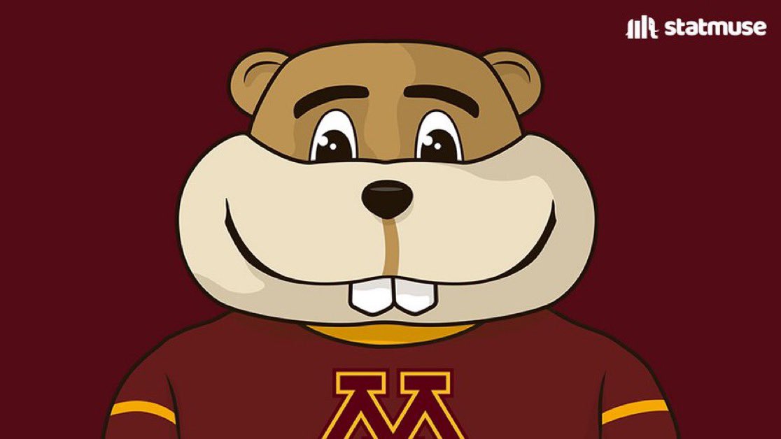 Timberwolves Muse tweet media