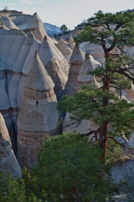 Fantasy Literature tweet media