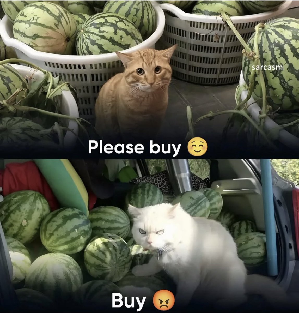 Antidepressant Content tweet media