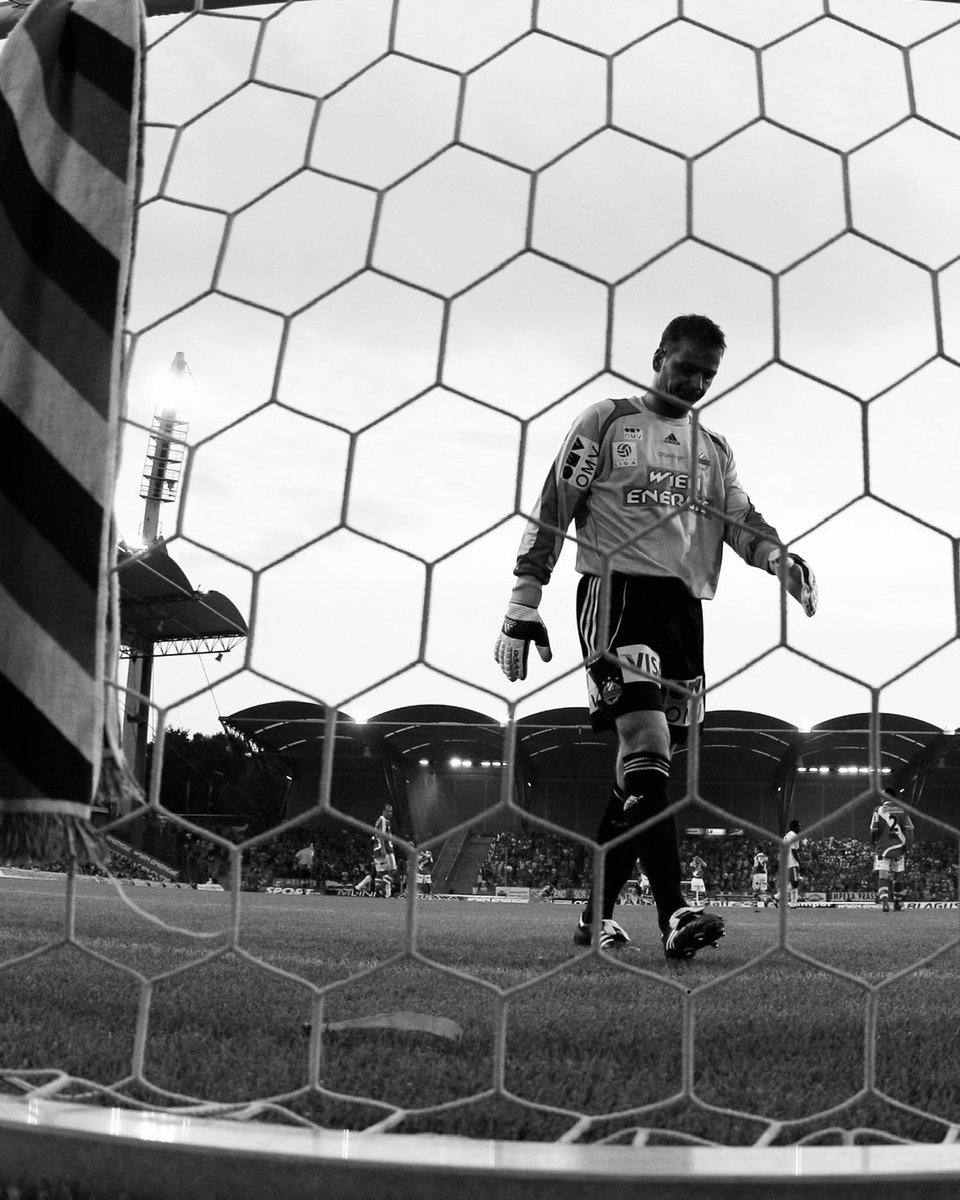 SK Rapid tweet media