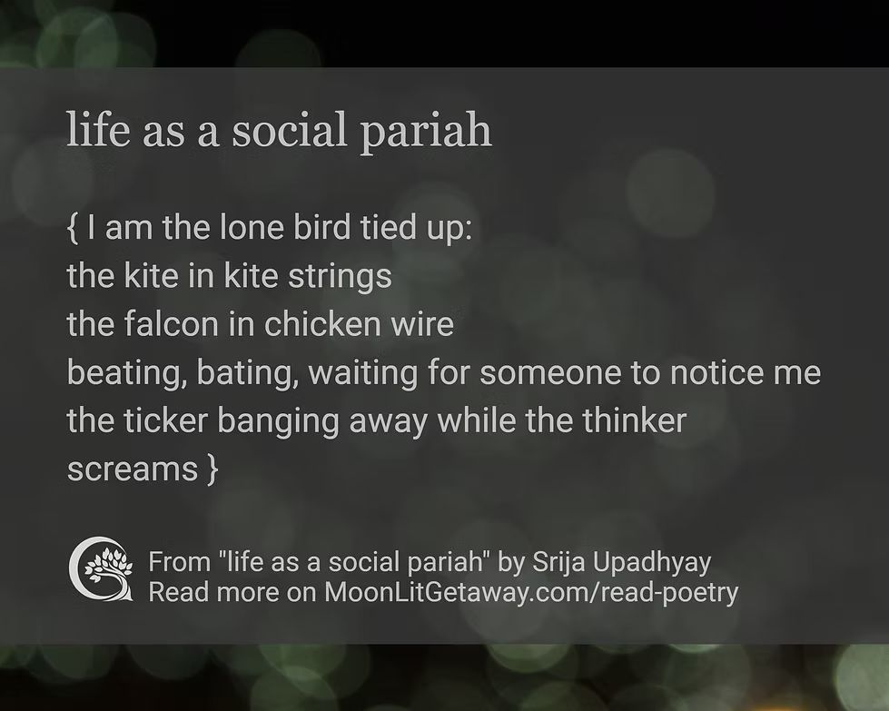 MoonLit Getaway tweet media