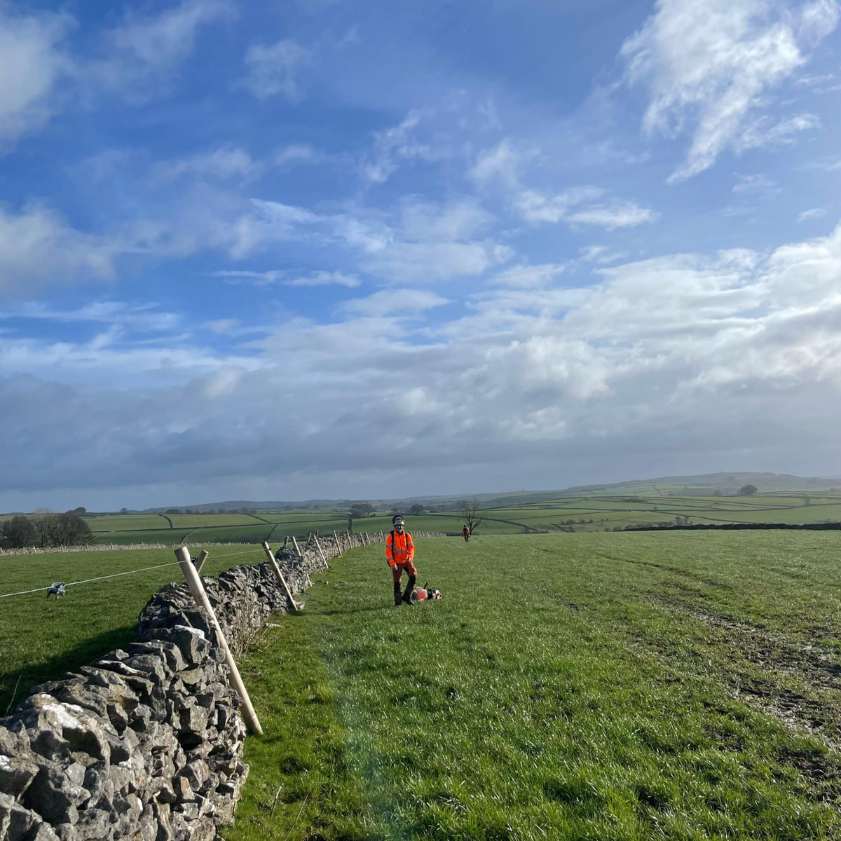 LIFEintheRavines tweet media