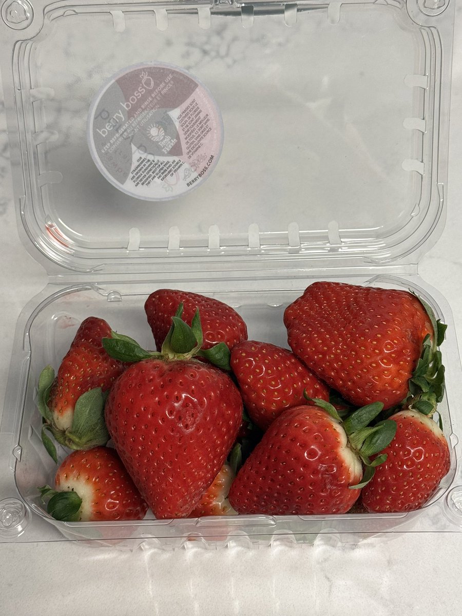 You know it's strawberry season when just one takes up a third of