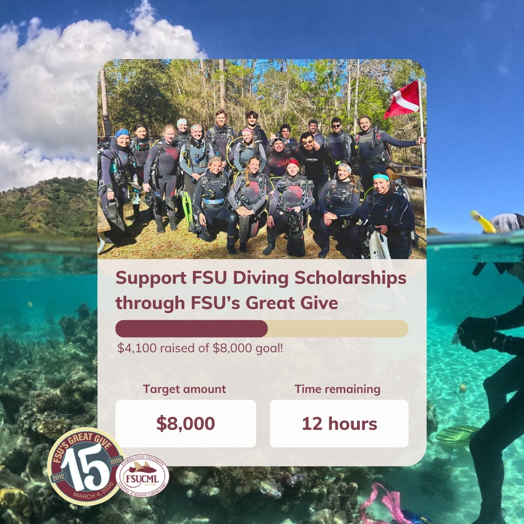 FSU Coastal & Marine Lab tweet media