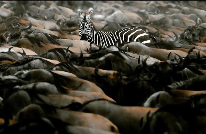 kenyapics's tweet photo. https://t.co/c5s799IppL