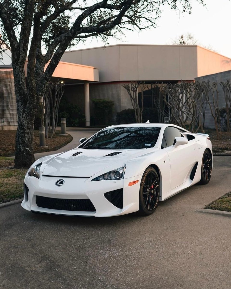 R.Lauren 👨💻 tweet media