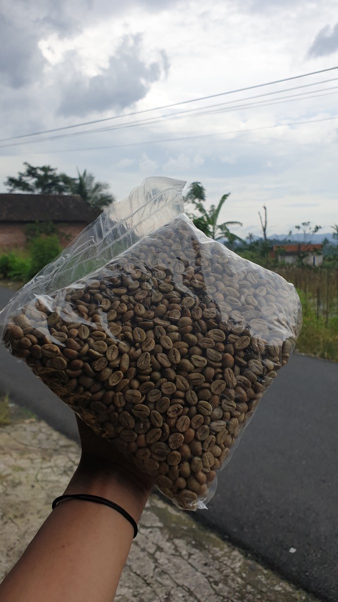 OyItsme2's tweet photo. Ready!
Robusta Temanggung,berasan  atau roasting
Roast : Medium,Medium Drak,Dark https://t.co/Fe10i2SY6V