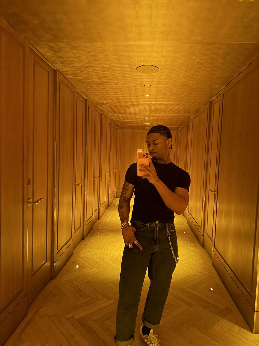 𝐛𝐫 fenix tweet media