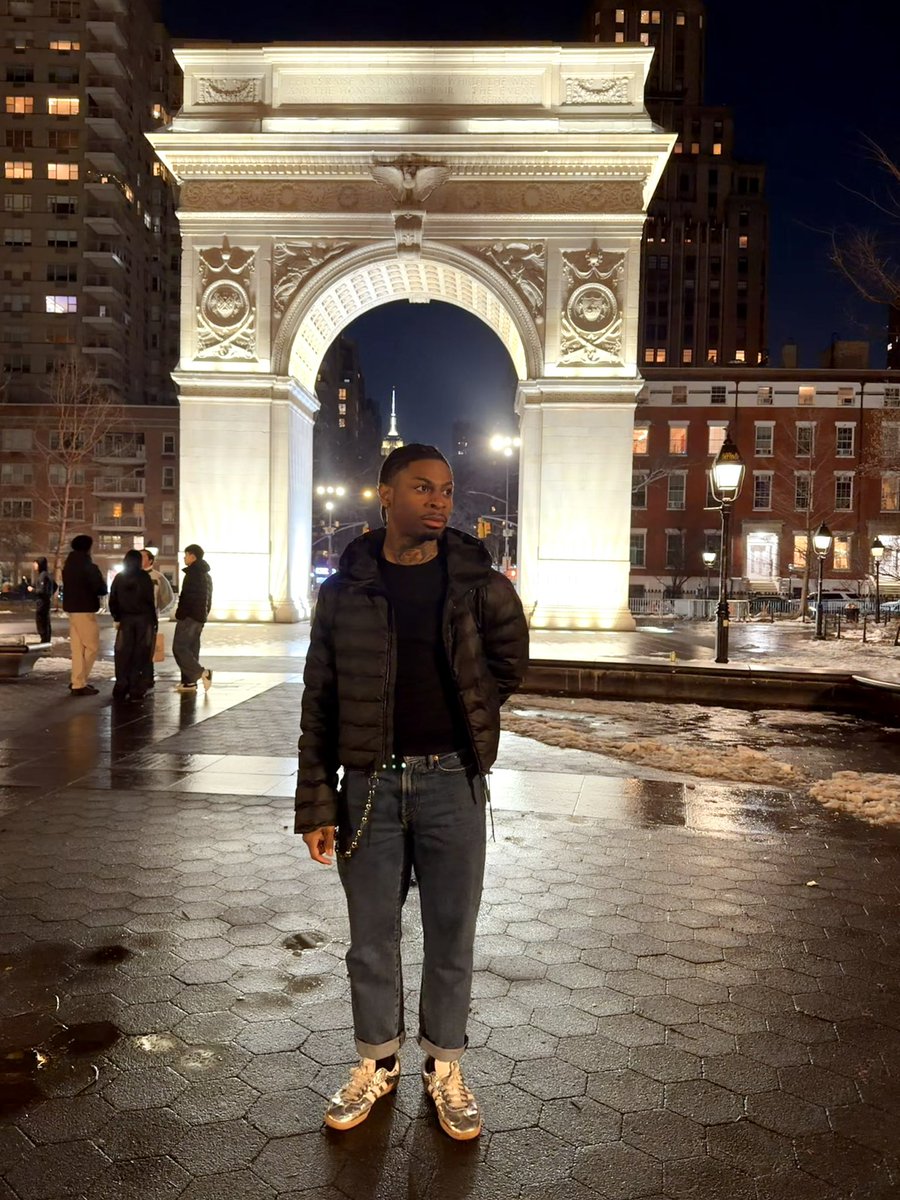 𝐛𝐫 fenix tweet media