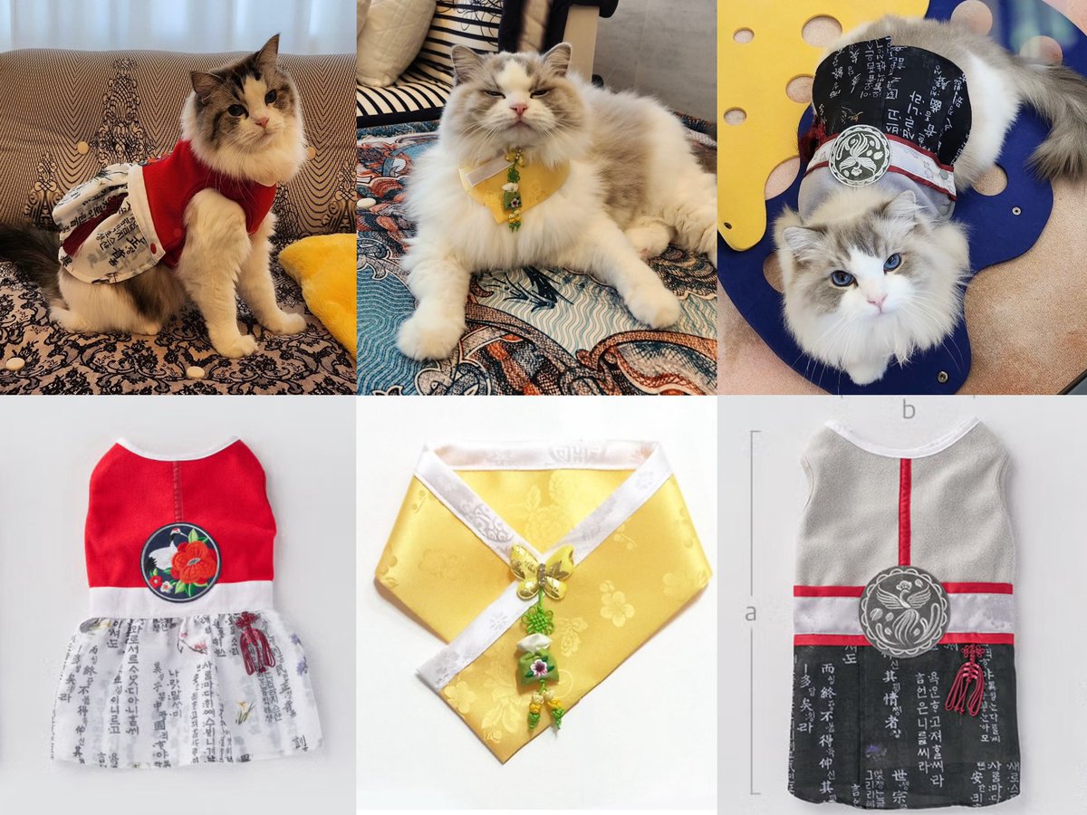 The cutest hanbok outfits Jaemin prepared for Luna, Lucy, and Luke ❤️💛💙
Truly the best cat dad ever💯

#JAEMIN #재민 #ジェミン