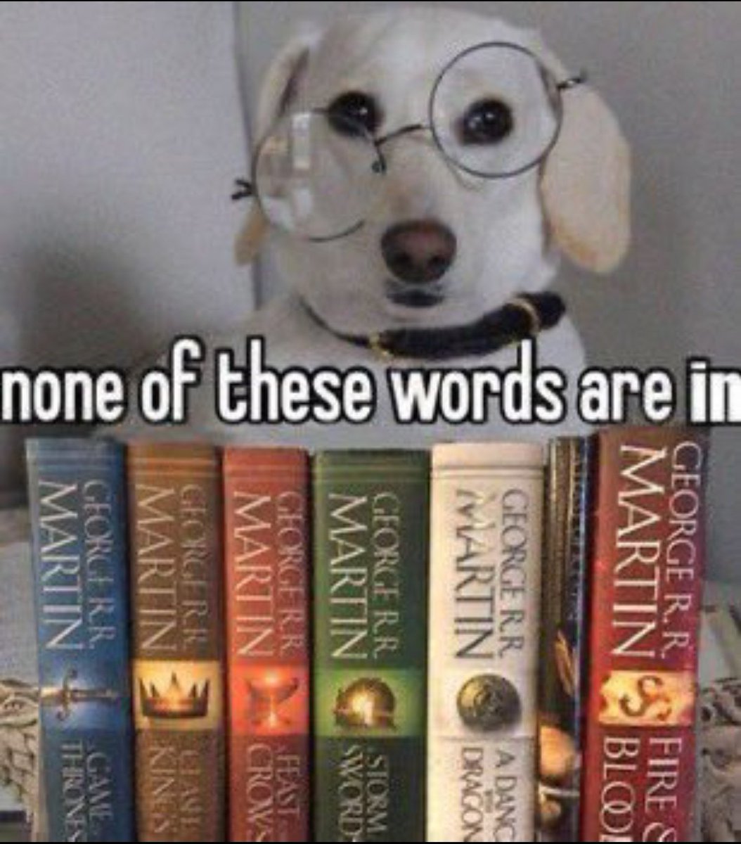Nikolaj🇺🇦🇵🇸 tweet media