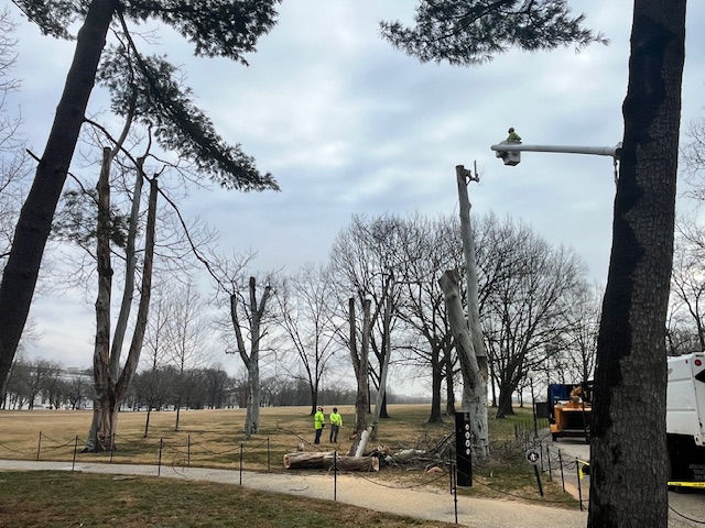 Vietnam Vet Memorial tweet media