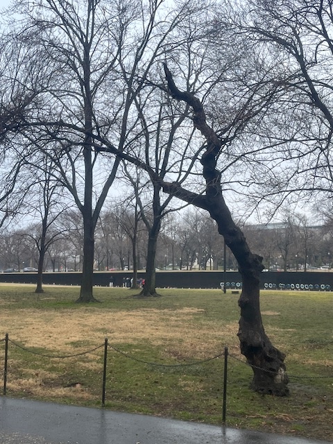 Vietnam Vet Memorial tweet media