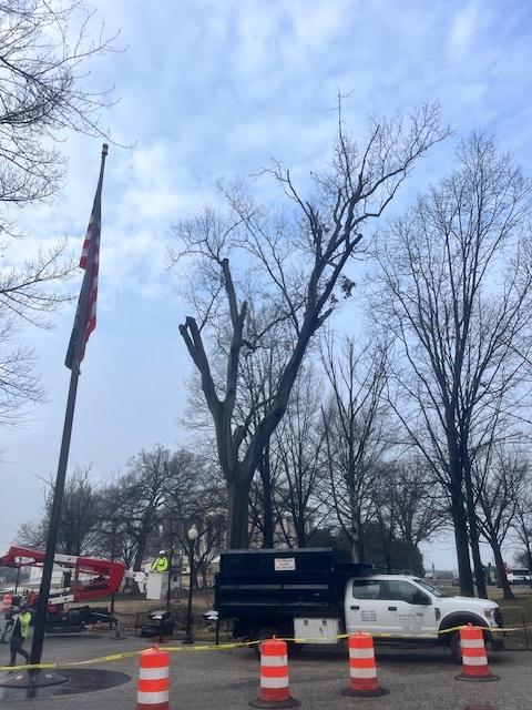 Vietnam Vet Memorial tweet media