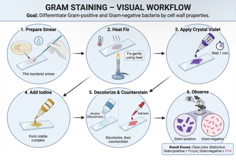 HAITHAM🖤🎓 tweet media