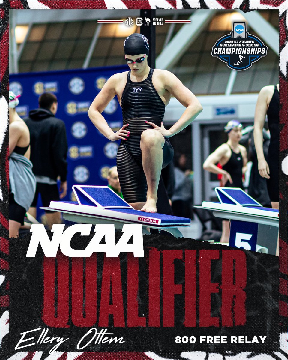 South Carolina Swimming & Diving tweet media