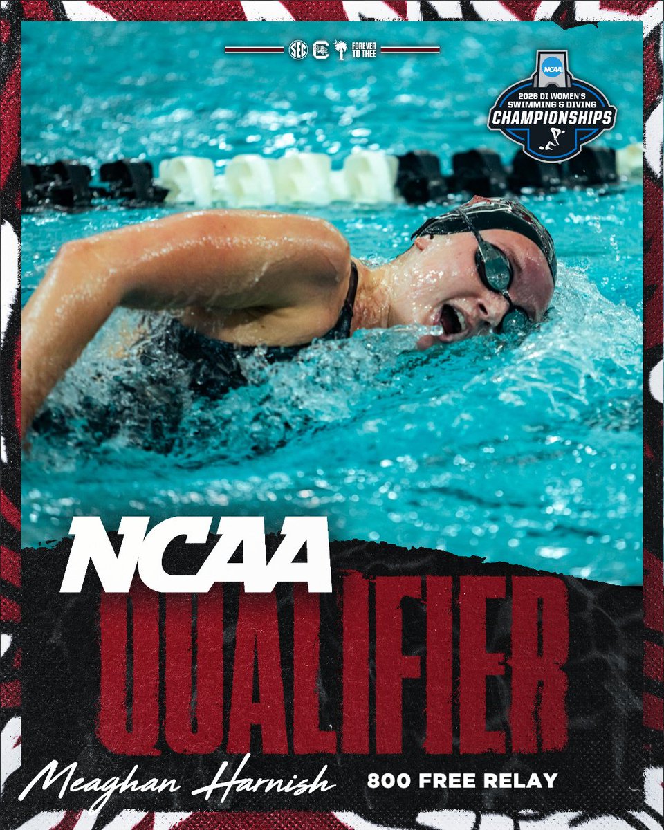 South Carolina Swimming & Diving tweet media